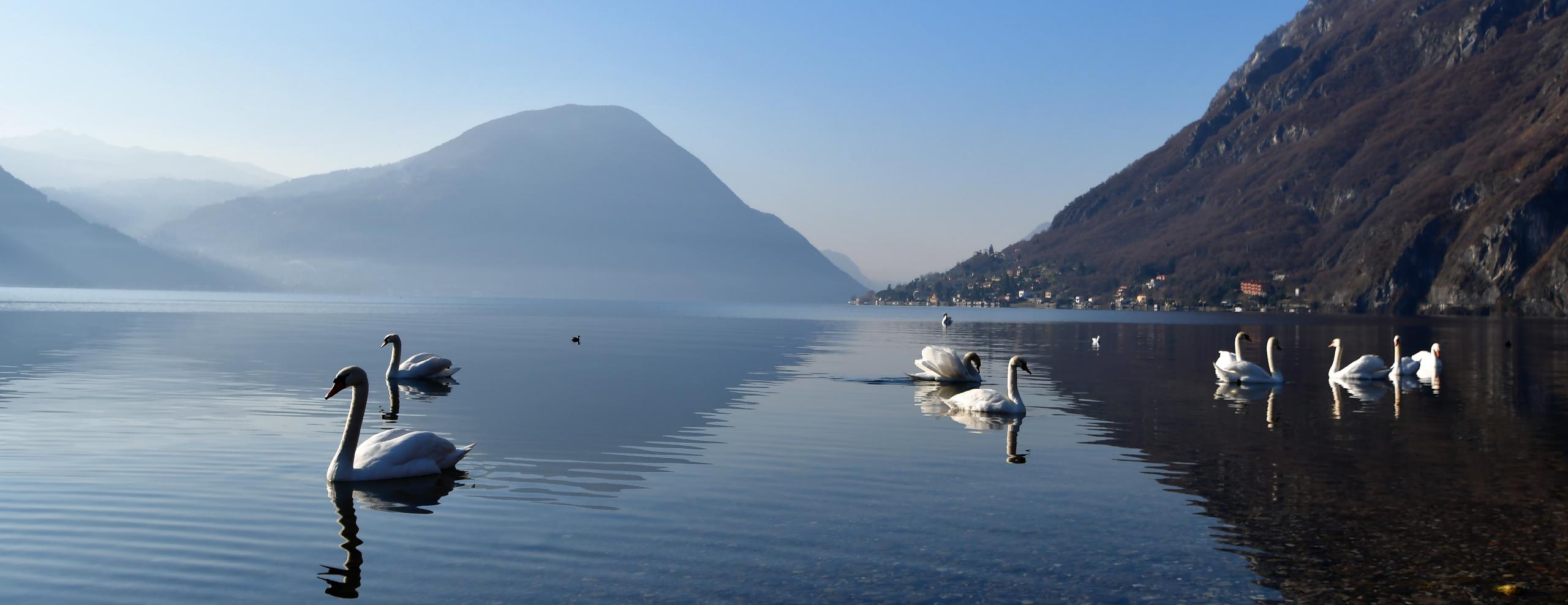 Signes f/5.6 1/640 ISO 100