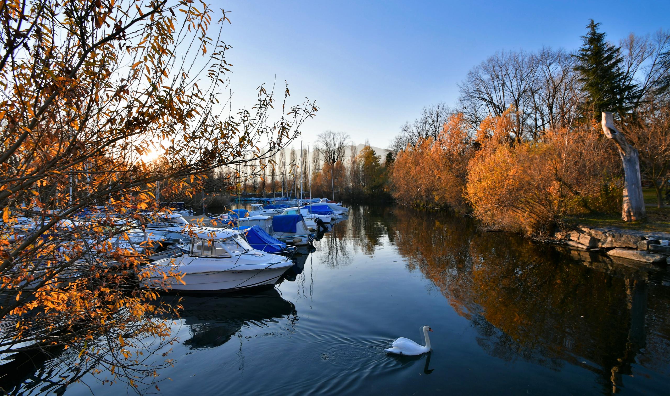 Débarcadère f/8.0 1/125 ISO 125