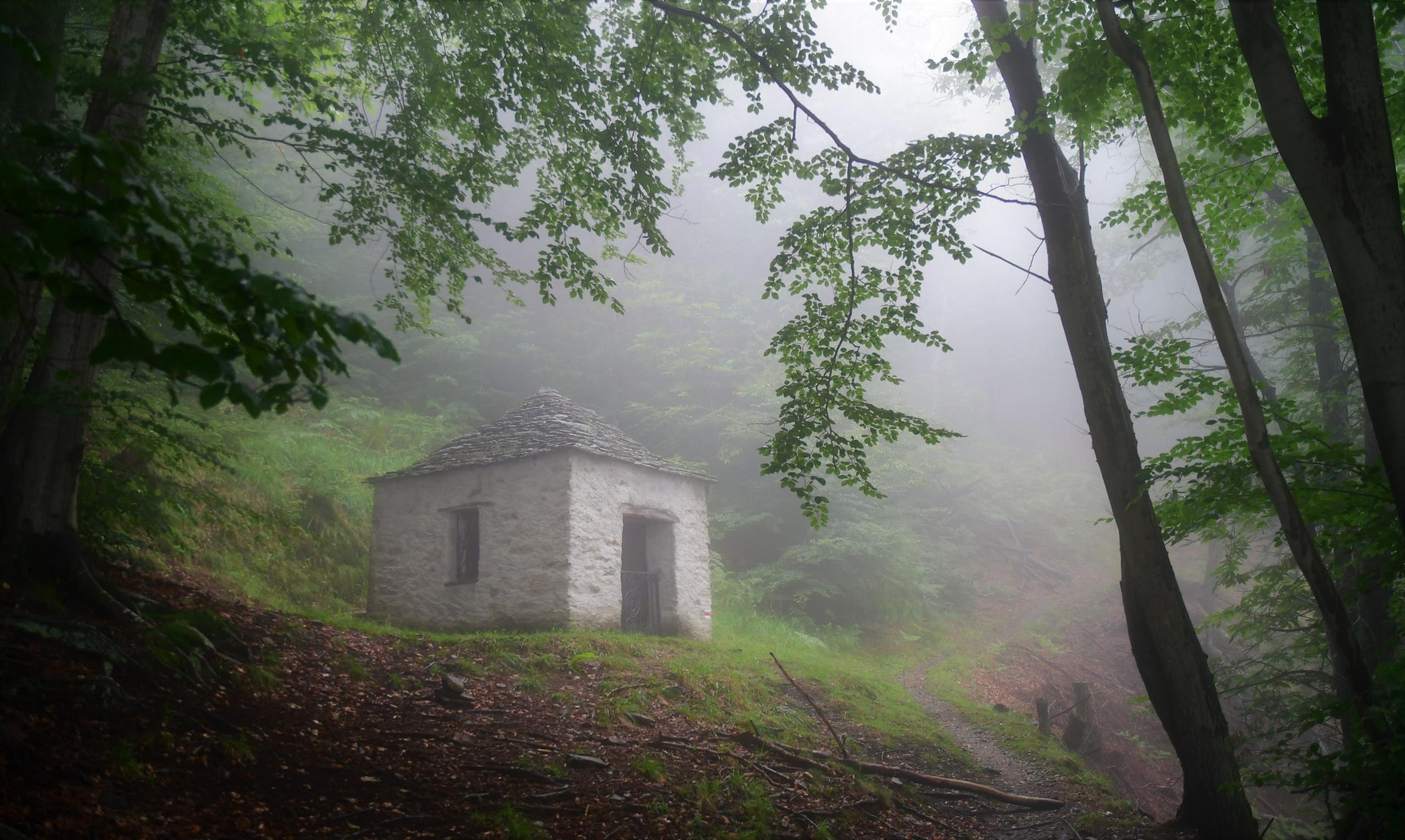 Refuge f/2.8 1/160 ISO 250