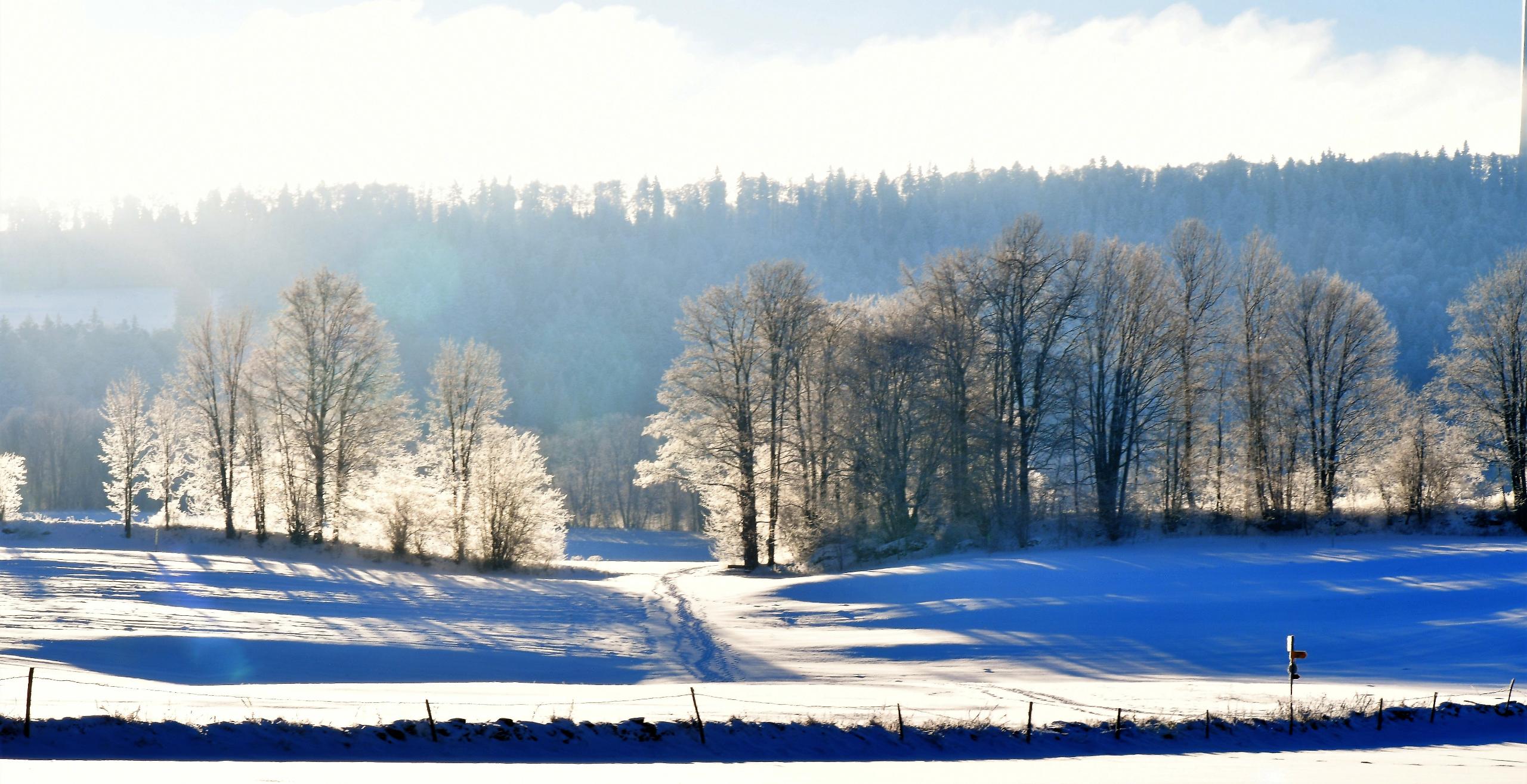 Coline Le Noirmont f/22.0 1/50 ISO 160