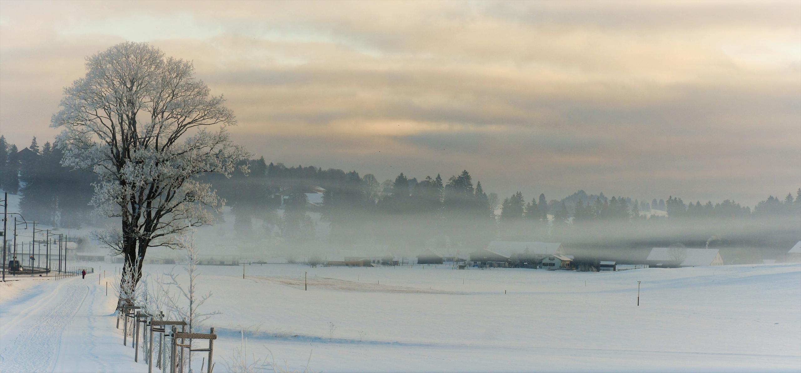 Brume f/7.1 1/320 ISO 125