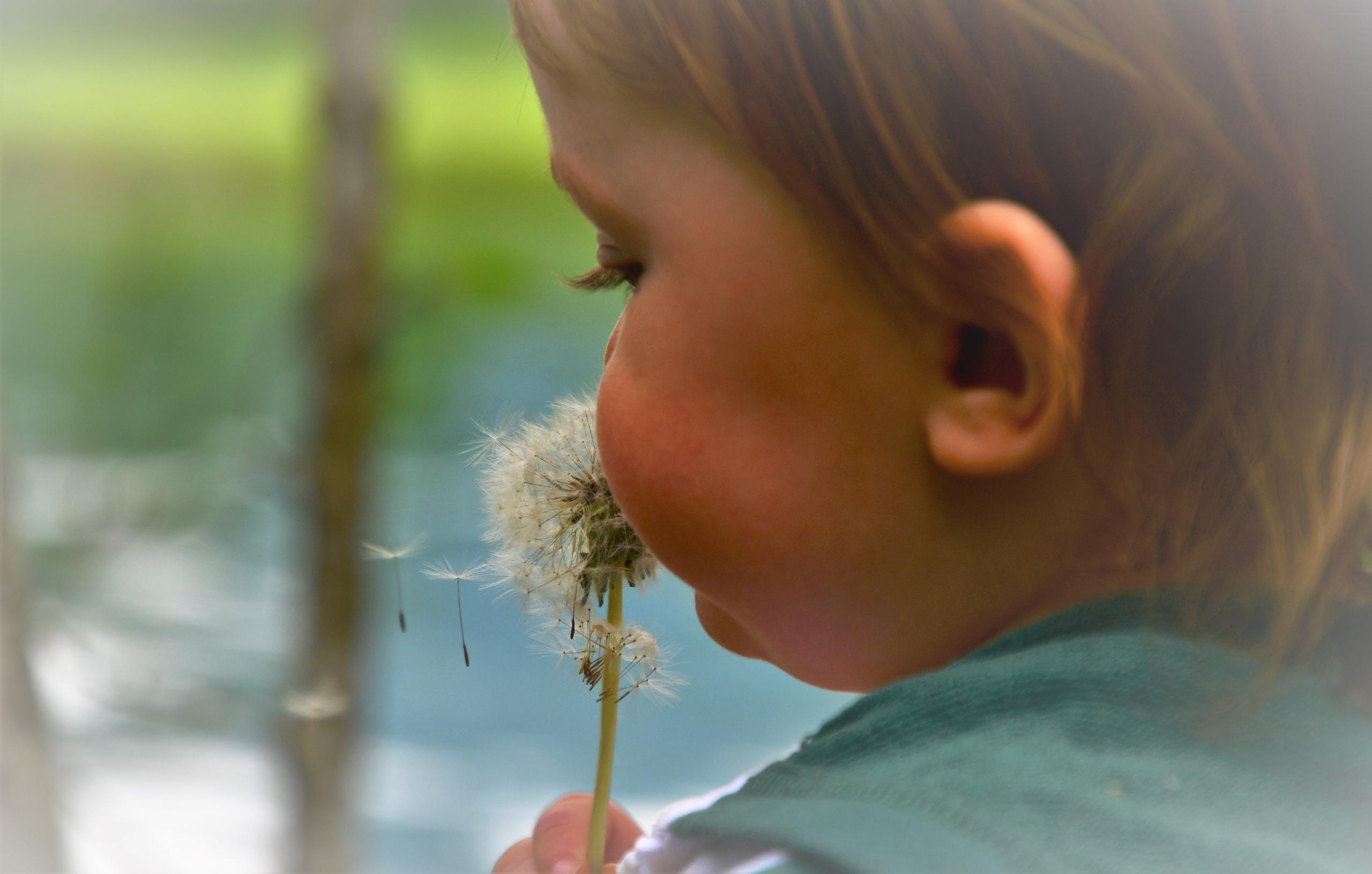 Fleur f/4.0 1/640 ISO 125