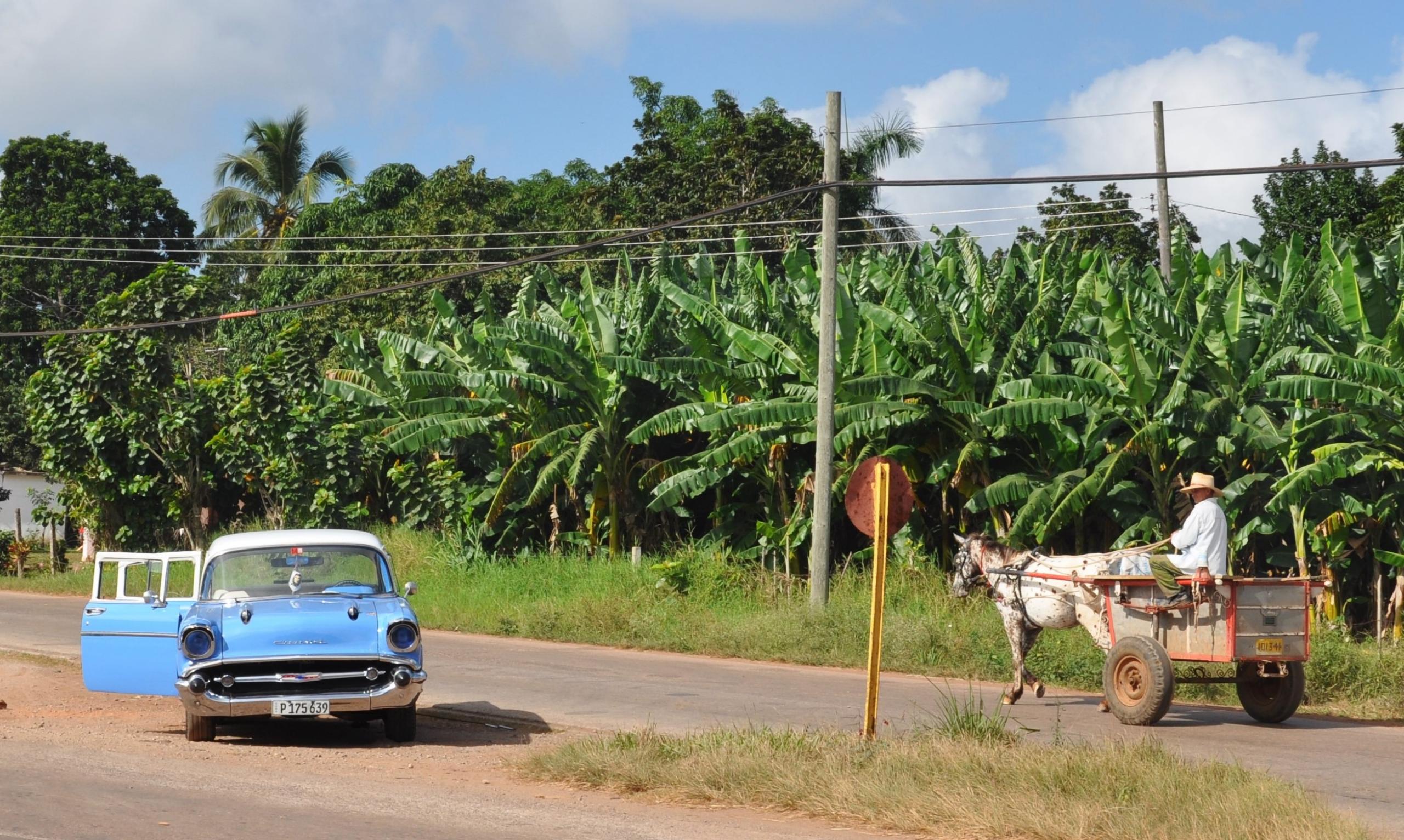 Plantation f/10.0 1/400 ISO 200