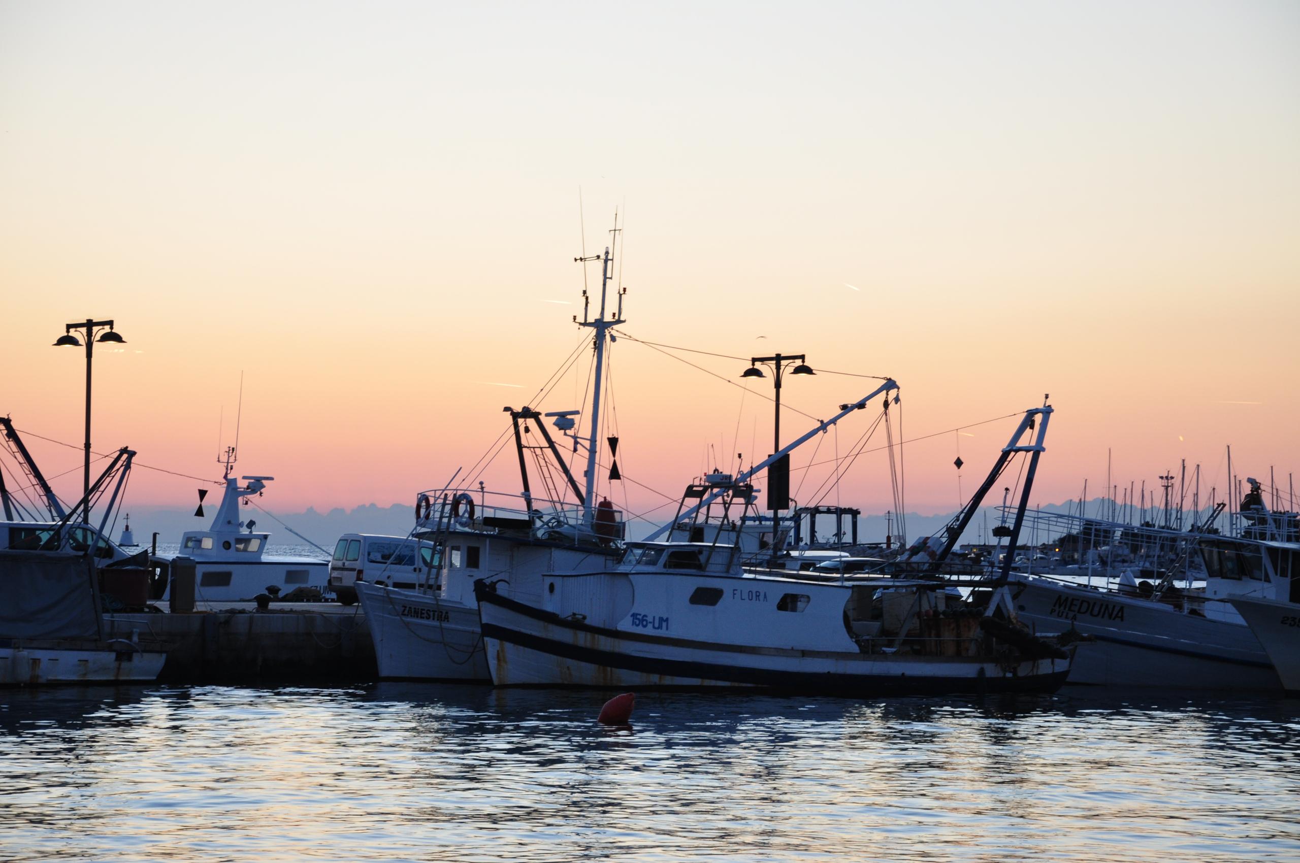 Port f/8.0 1/60 ISO 400